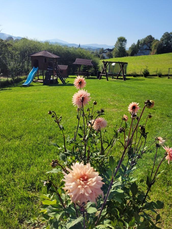 Domki Pod Lasem Rokiciny Podhalanskie Dış mekan fotoğraf