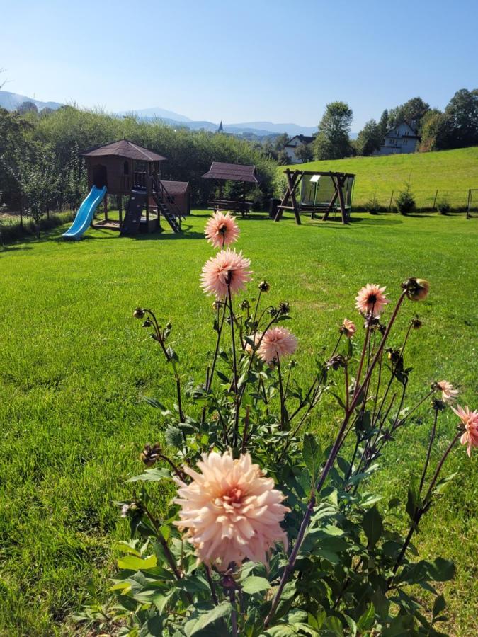 Domki Pod Lasem Villa Rokiciny Podhalanskie Dış mekan fotoğraf