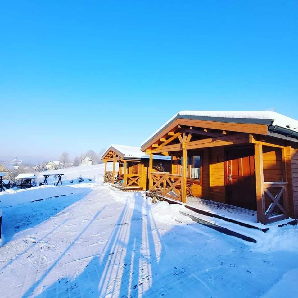 Domki Pod Lasem Villa Rokiciny Podhalanskie Dış mekan fotoğraf