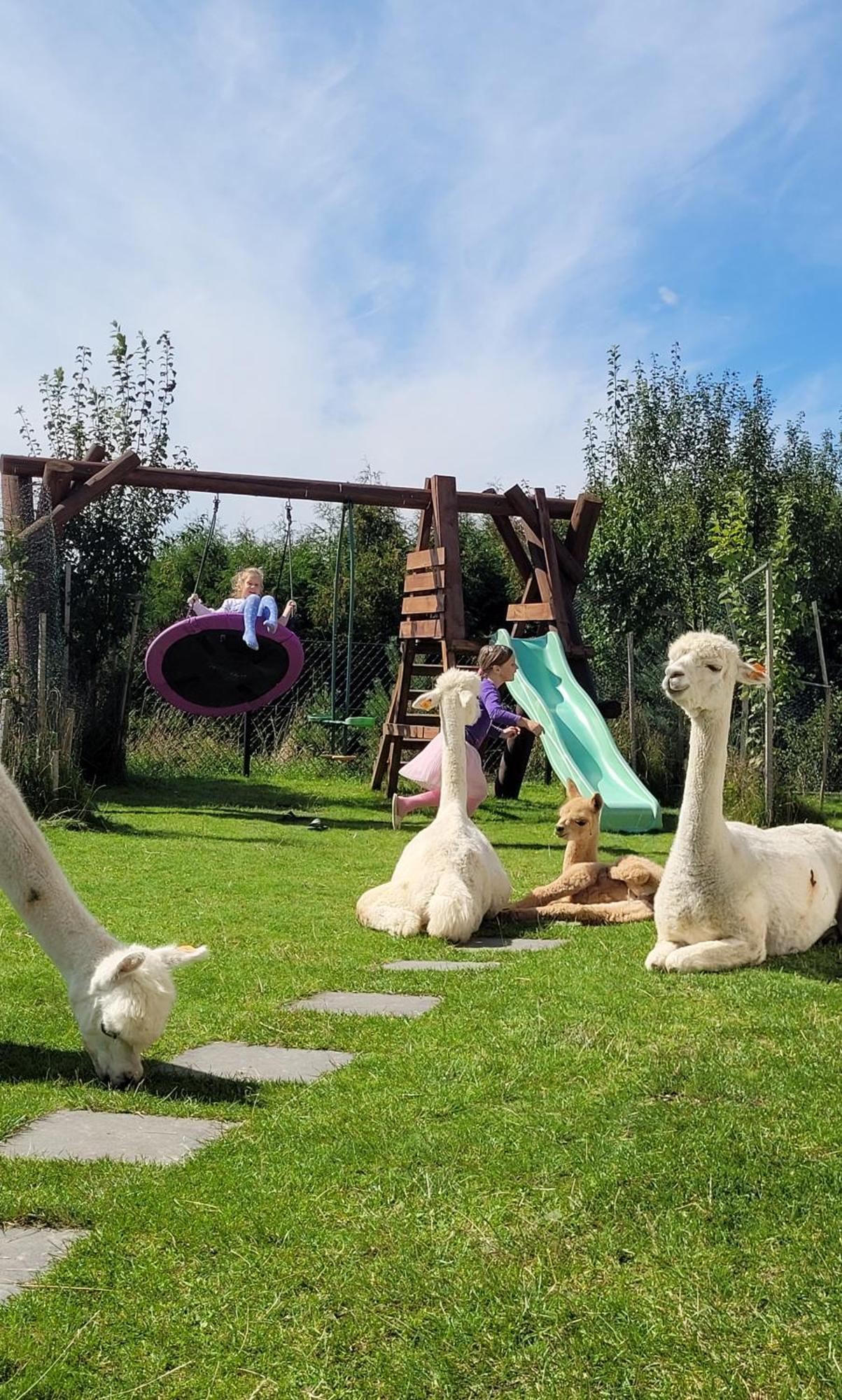 Domki Pod Lasem Villa Rokiciny Podhalanskie Oda fotoğraf