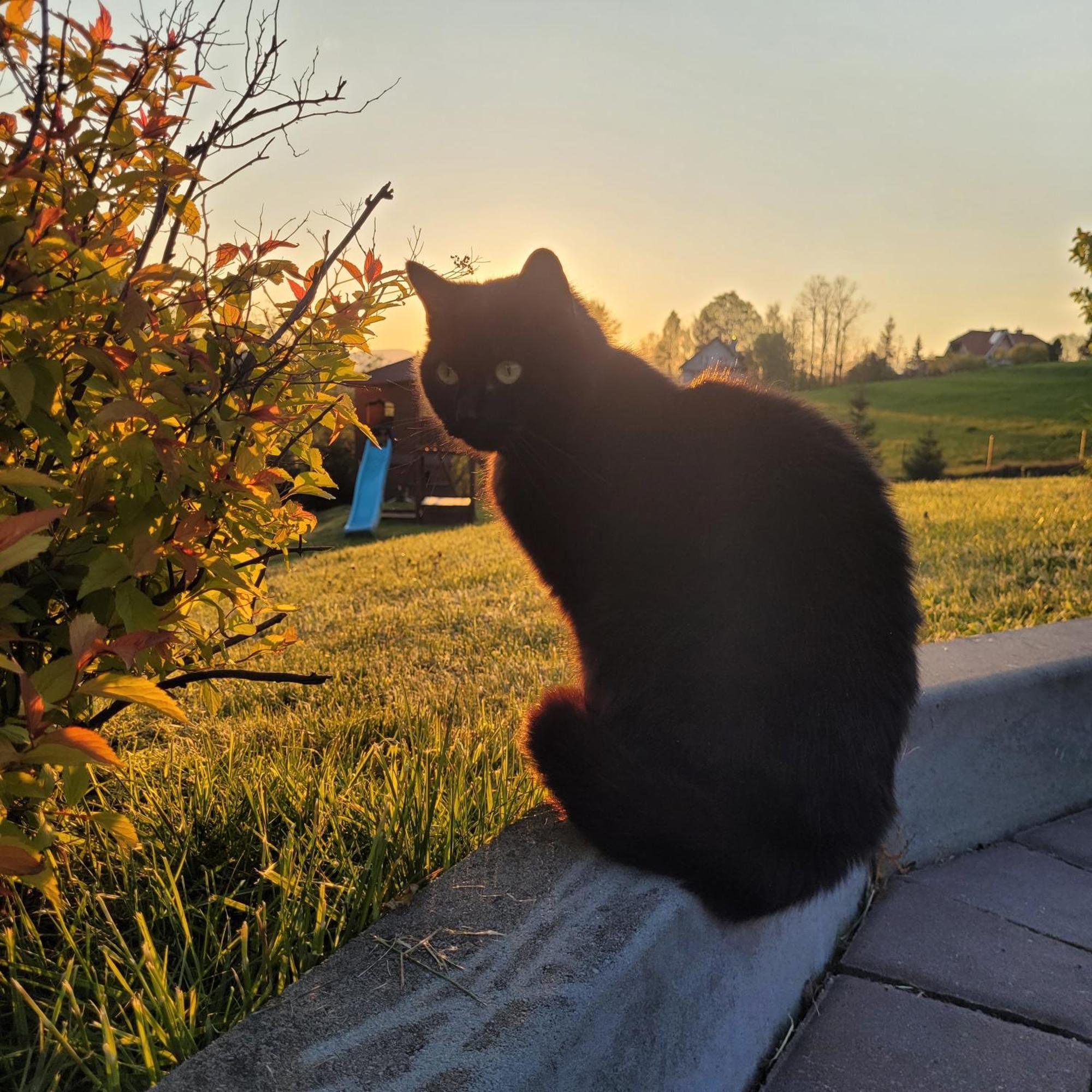 Domki Pod Lasem Villa Rokiciny Podhalanskie Dış mekan fotoğraf