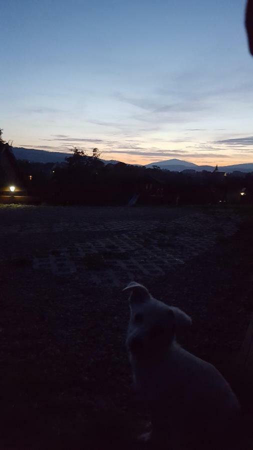 Domki Pod Lasem Villa Rokiciny Podhalanskie Dış mekan fotoğraf